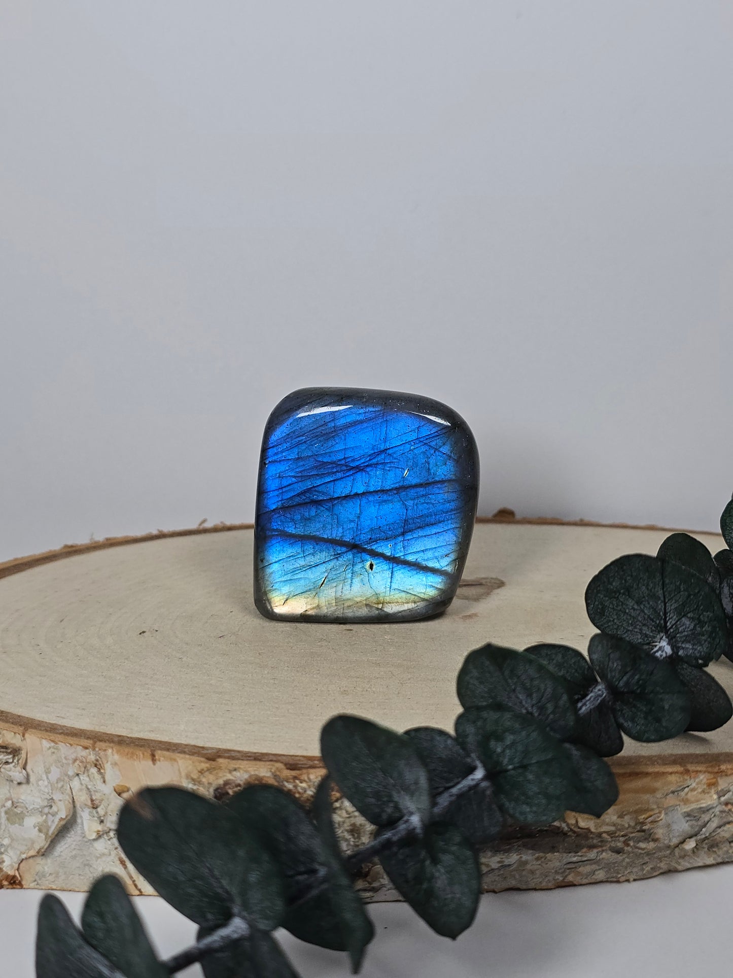 High Quality Labradorit Freiform 🌈EC12