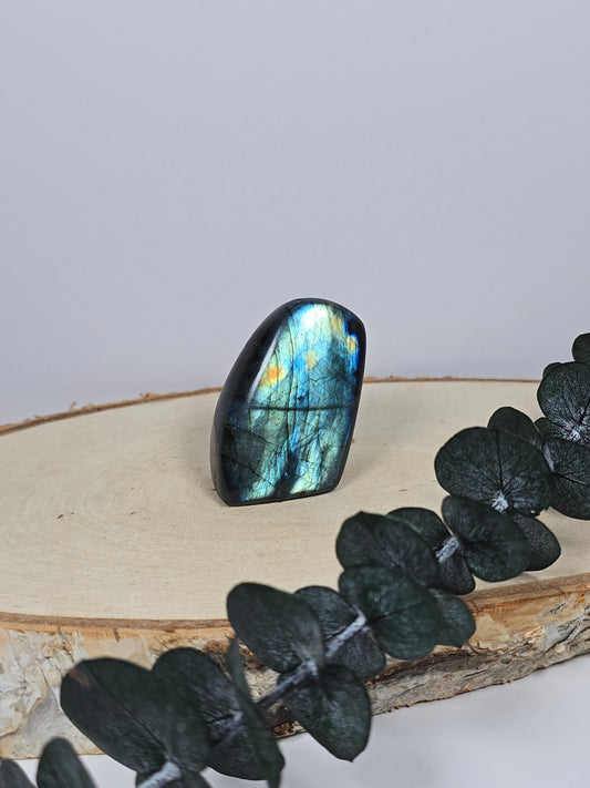 High Quality Labradorit Freiform 🌈 EG8