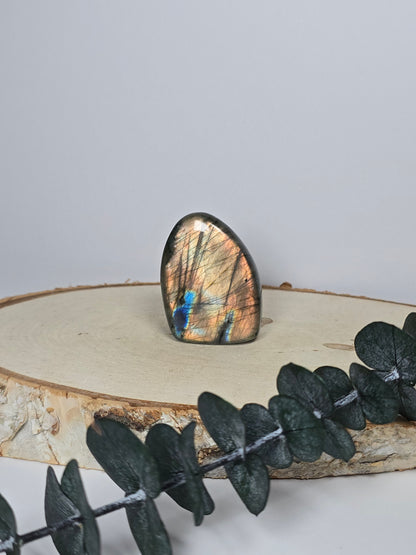 High Quality Labradorit Freiform 🌈 EE10