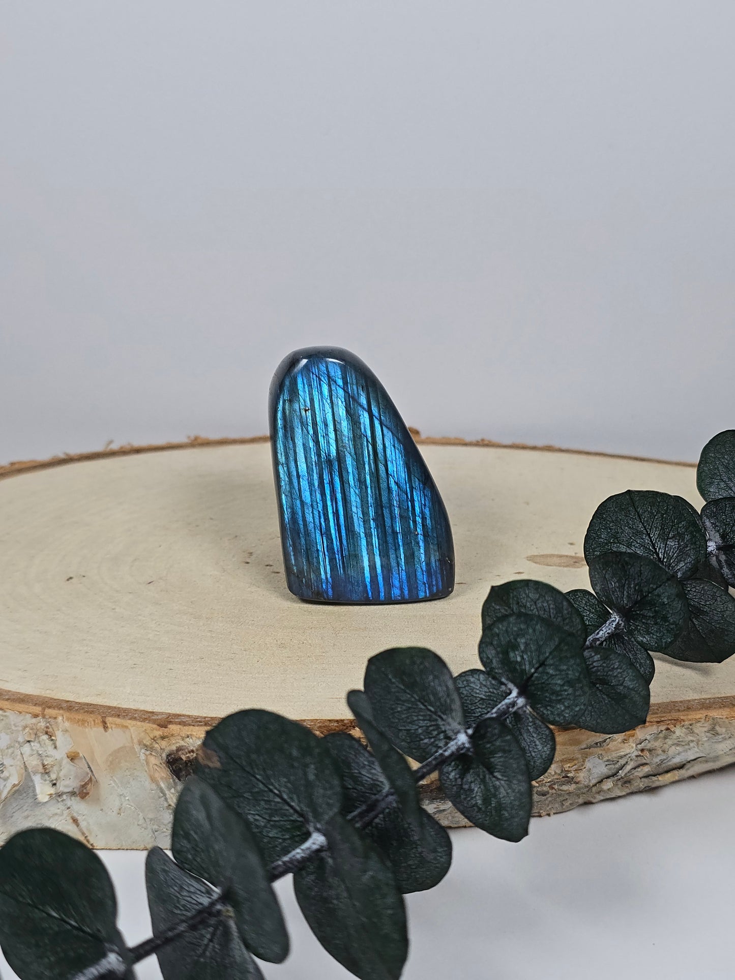 High Quality Labradorit Freiform 🌈 EL11