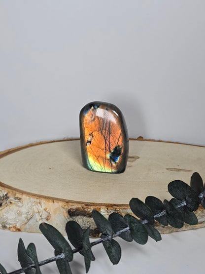 High Quality Labradorit Freiform 🌈 FI13