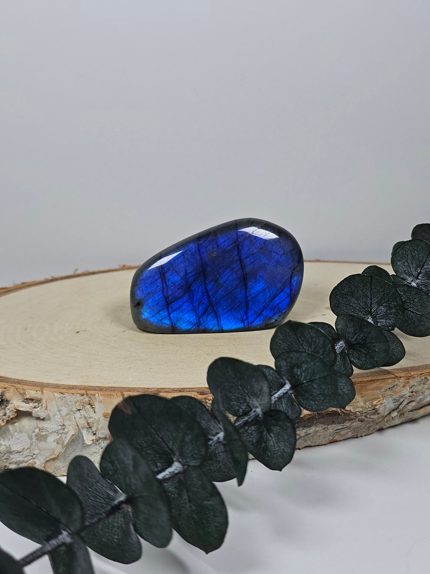 High Quality Labradorit Freiform 🌈 CX12