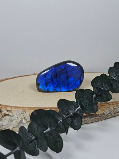 High Quality Labradorit Freiform 🌈 CX12