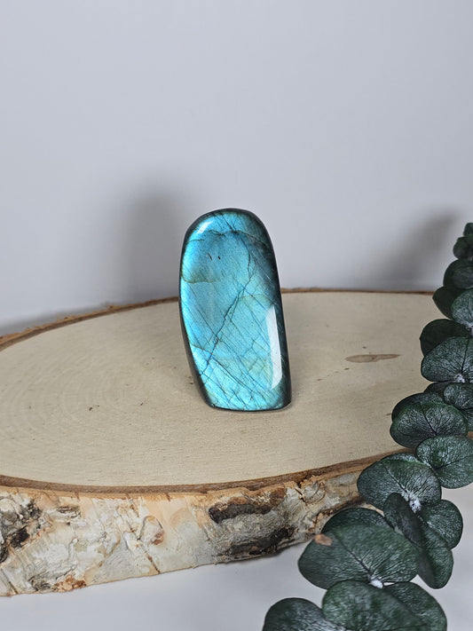 High Quality Labradorit Freiform 🌈 EV16