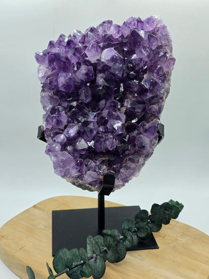 Amethyst auf Stand 💜 X264