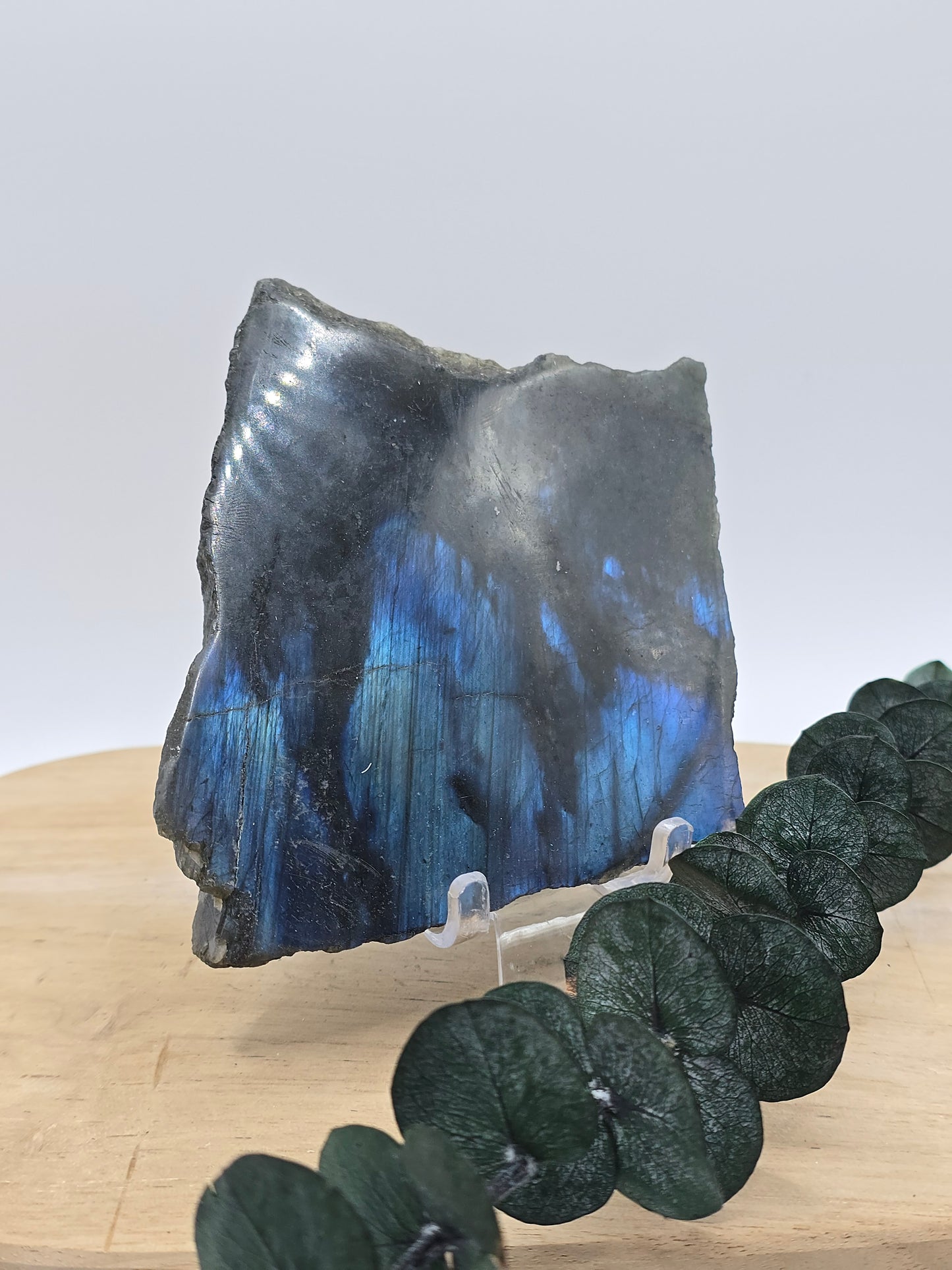 Labradorit Scheibe 🌈 SC37