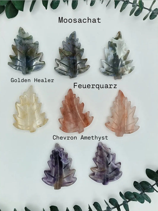 Blätter aus verschiedenen Materialien 🍁