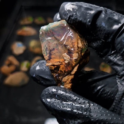 Wasseropal aus Äthiopien mit Contra Luz Effekt 🌈 29,74g