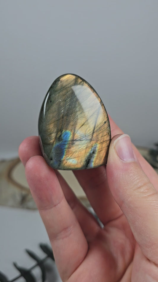 High Quality Labradorit Freiform 🌈 EE10