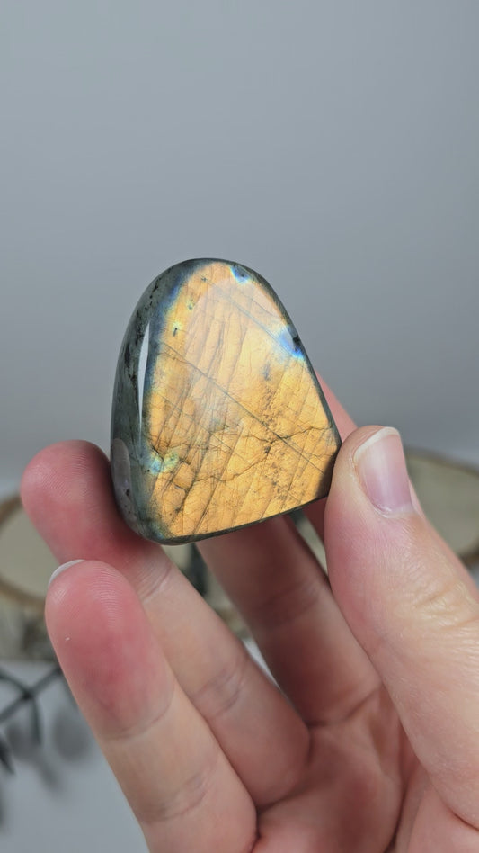 High Quality Labradorit Freiform 🌈 AV8