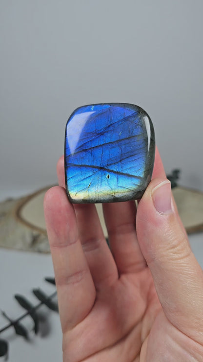 High Quality Labradorit Freiform 🌈EC12