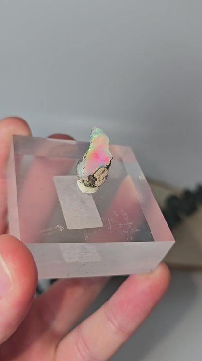 Welo Opal Roh 🌈 KO19