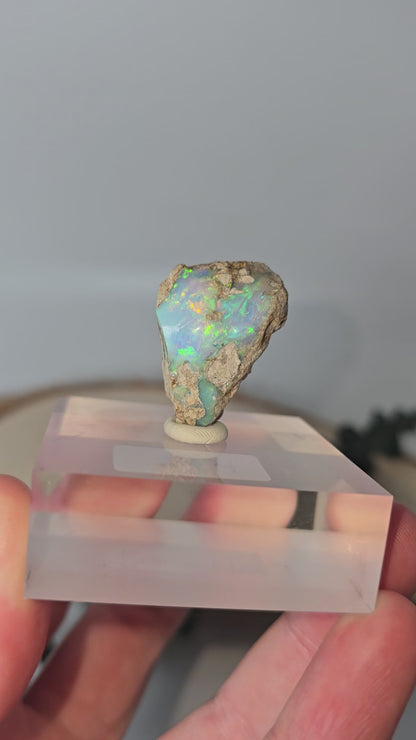 Welo Opal Roh 🌈 H49