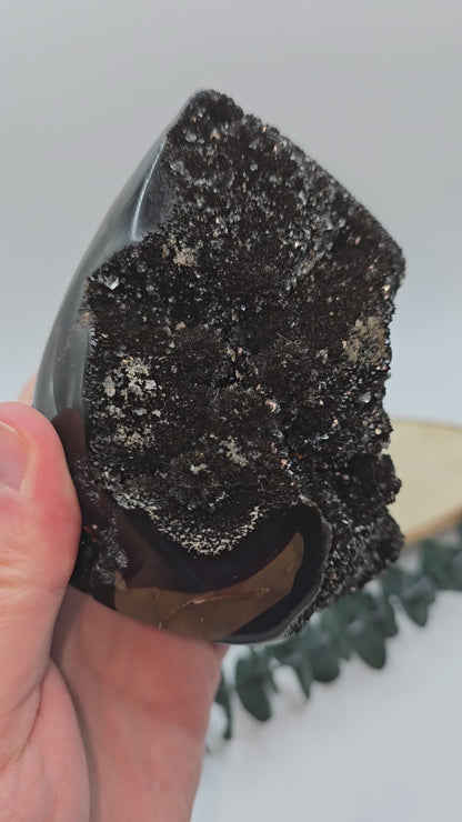 Septarie Freiform 🤎 KA81