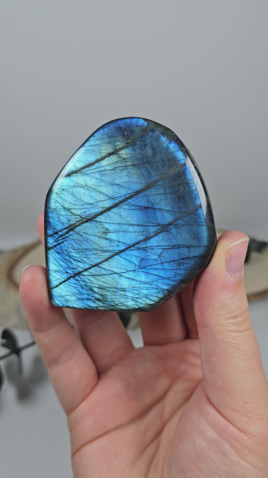 High Quality Labradorit Freiform 🌈 BX26