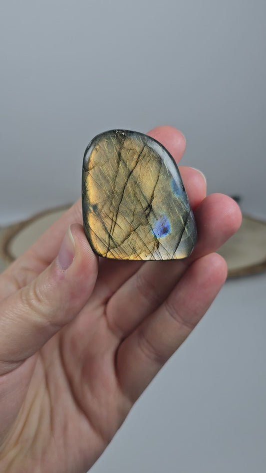 High Quality Labradorit Freiform 🌈 DT8