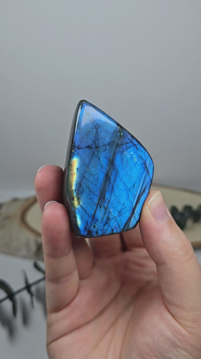 High Quality Labradorit Freiform 🌈 EW17