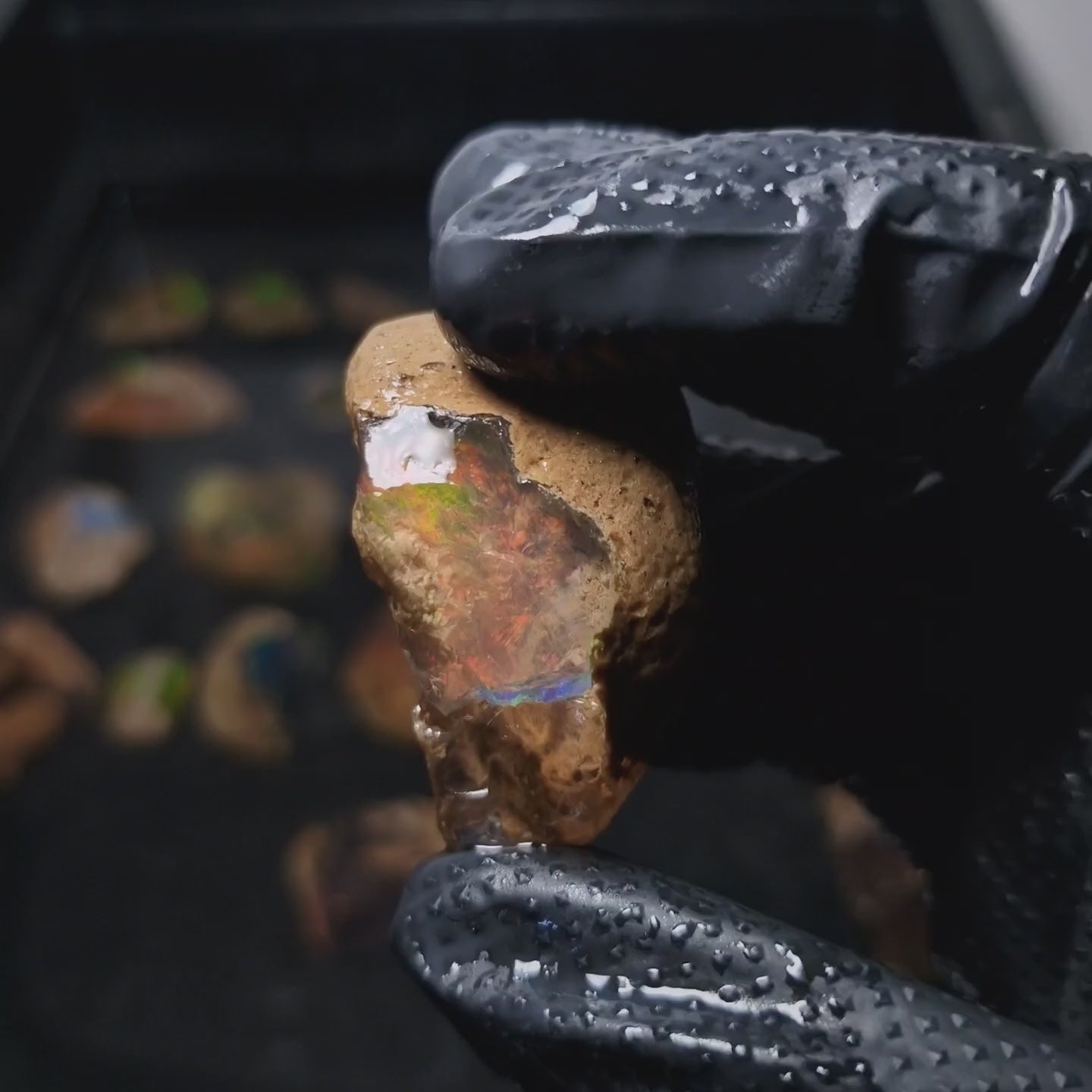Wasseropal aus Äthiopien mit Contra Luz Effekt 🌈 36,76g