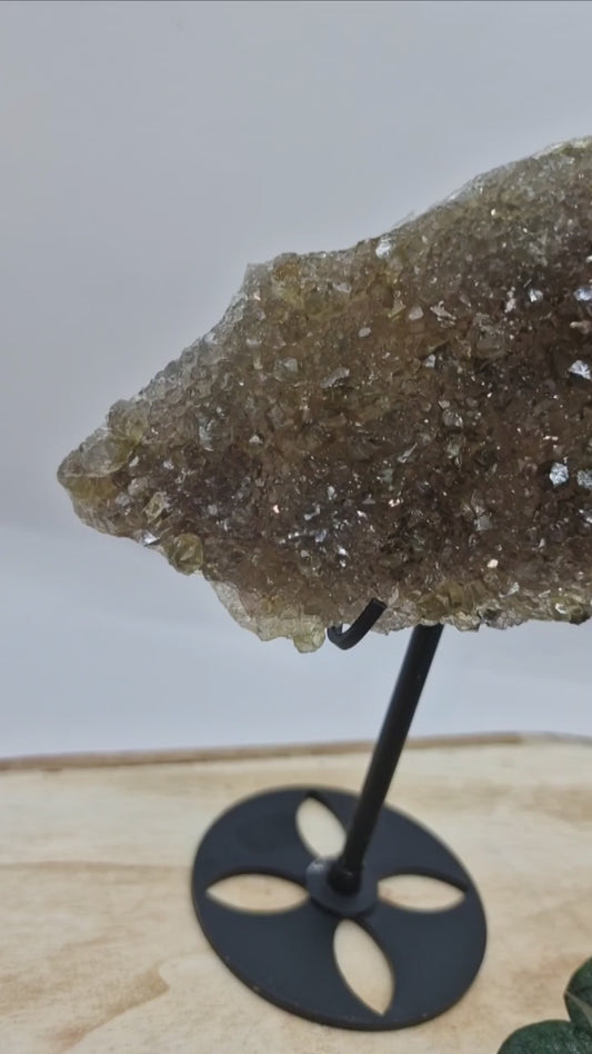 Zeolith Cluster 💚 ZF36