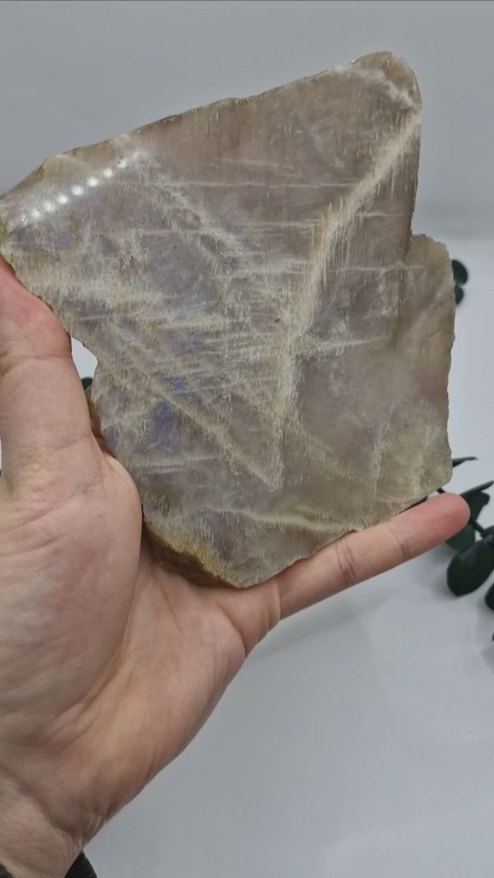 Mondstein Slabs 🌛