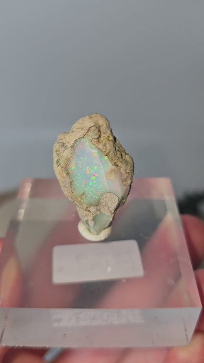 Welo Opal Roh 🌈 MU51