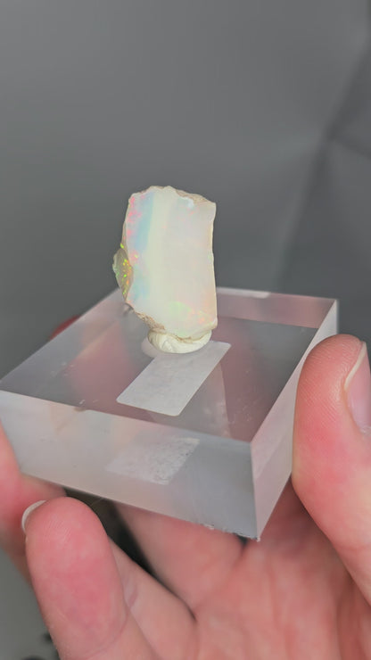 Welo Opal Roh 🌈 MI51