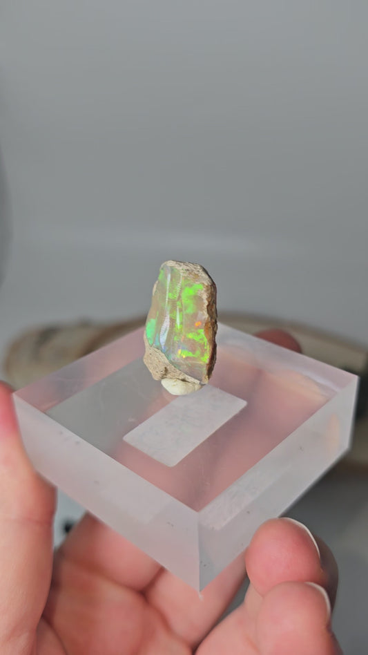 Welo Opal Roh 🌈 GH41