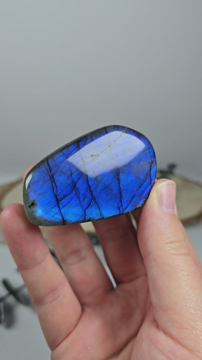 High Quality Labradorit Freiform 🌈 CX12