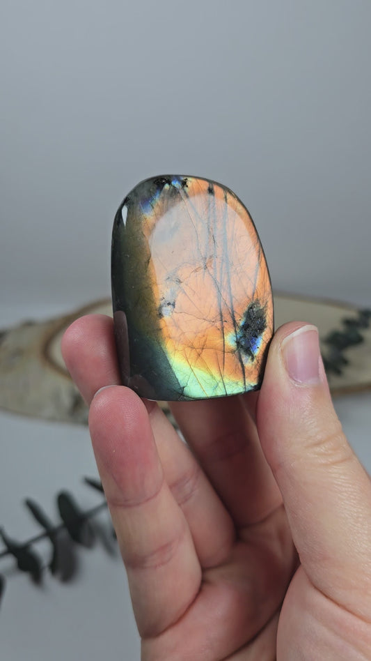 High Quality Labradorit Freiform 🌈 FI13