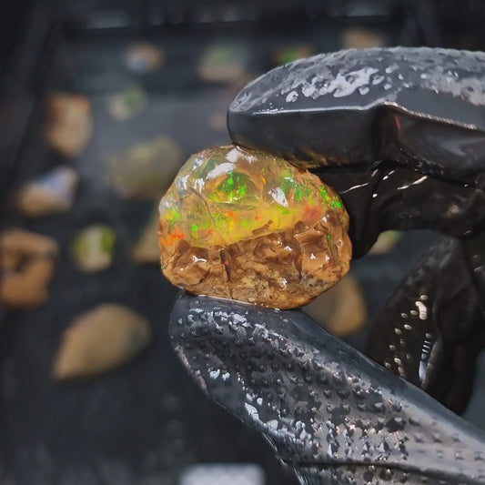 Wasseropal aus Äthiopien 🌈 16,55g