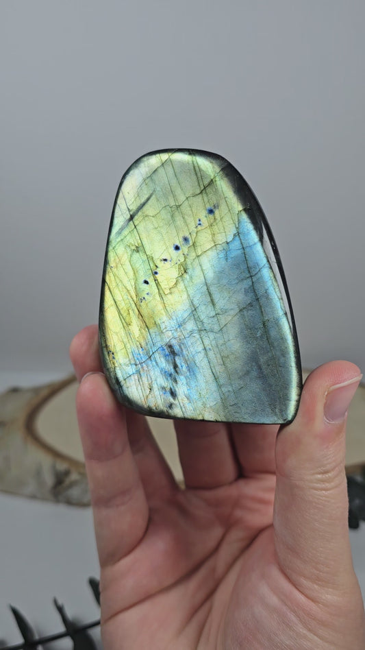 High Quality Labradorit Freiform 🌈 T27