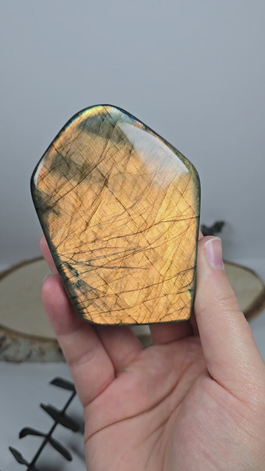 High Quality Labradorit Freiform 🌈 R47