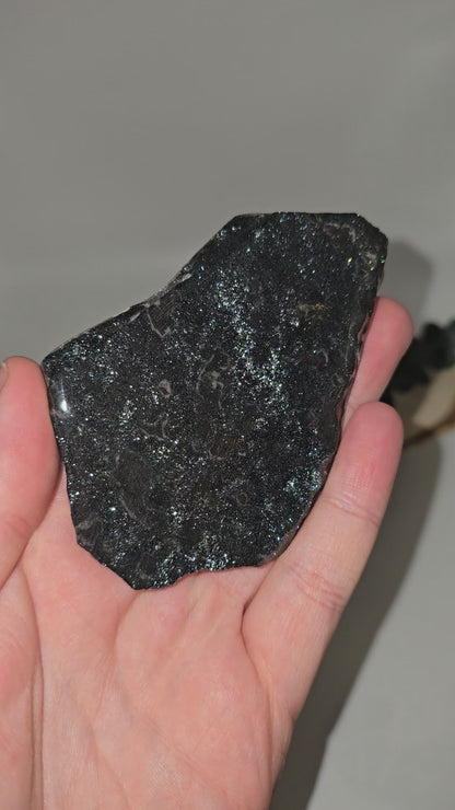 Specularit - Hämatitglimmer/Eisenglimmer 🌌 SB63