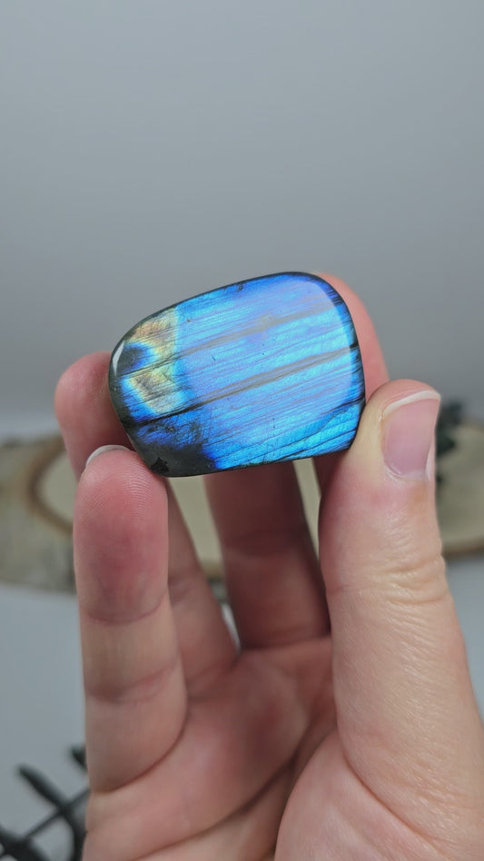 High Quality Labradorit Freiform 🌈 FB5