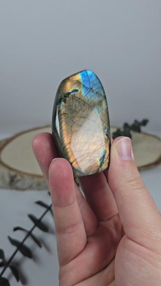 High Quality Labradorit Freiform 🌈 W16