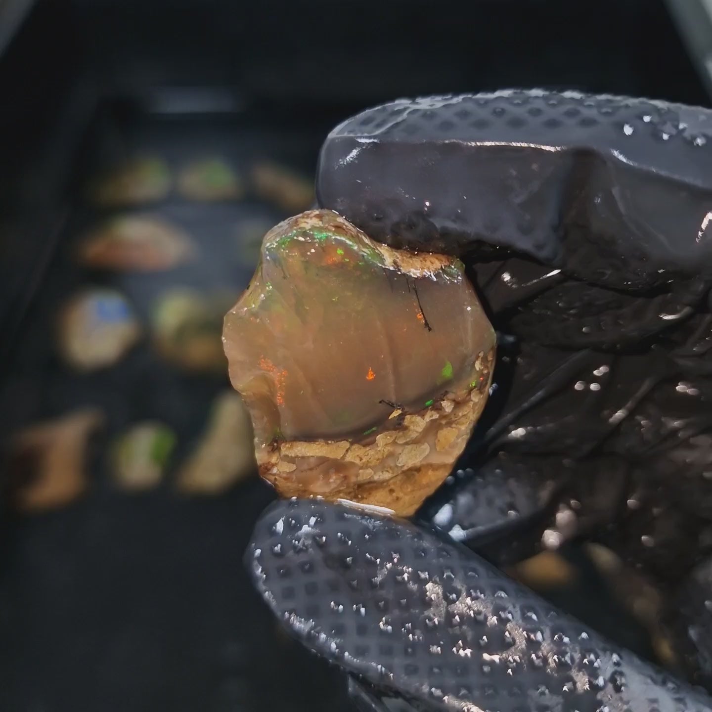 Wasseropal aus Äthiopien 🌈 20,57g