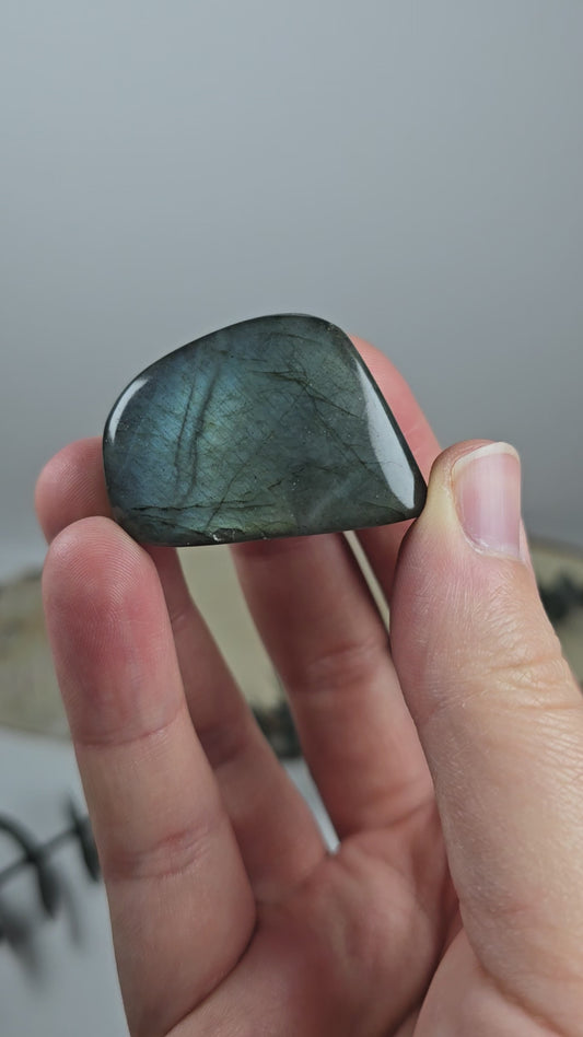 High Quality Labradorit Freiform 🌈 EP5