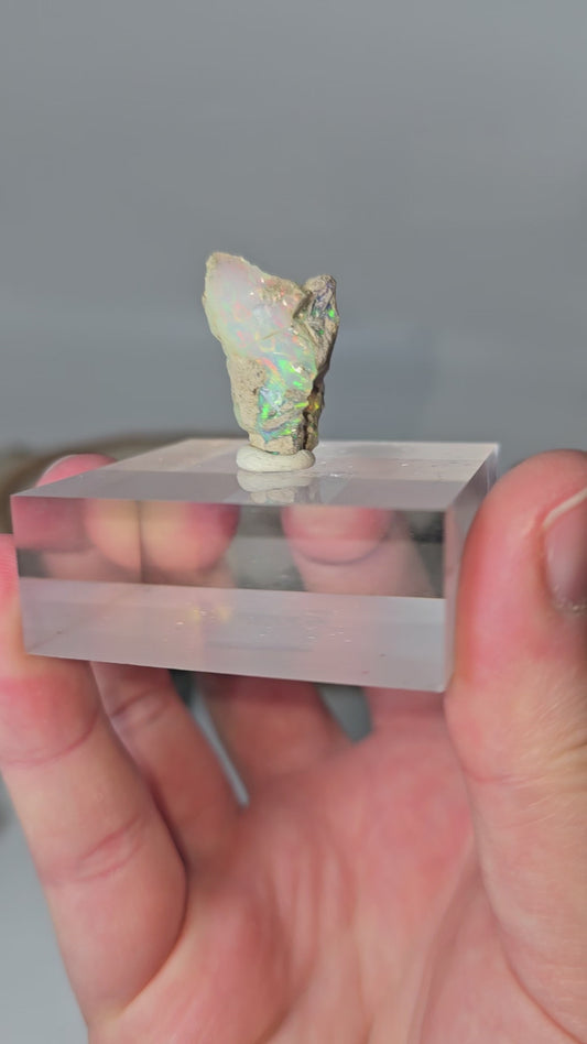 Welo Opal Roh 🌈 MZ41