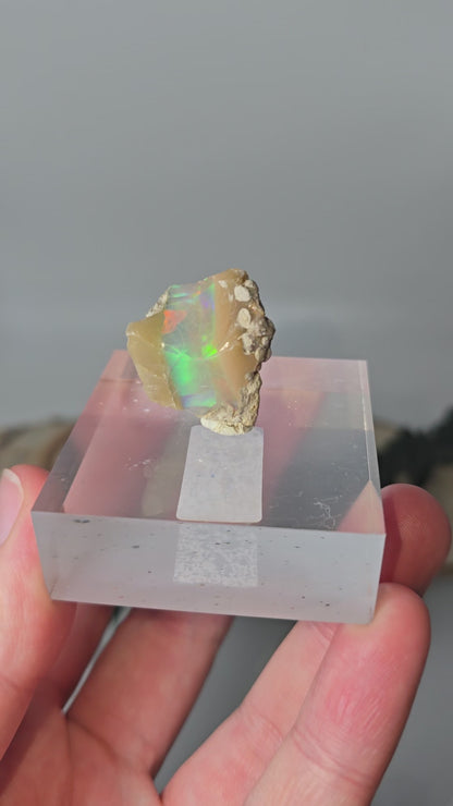 Welo Opal Roh 🌈 EP42