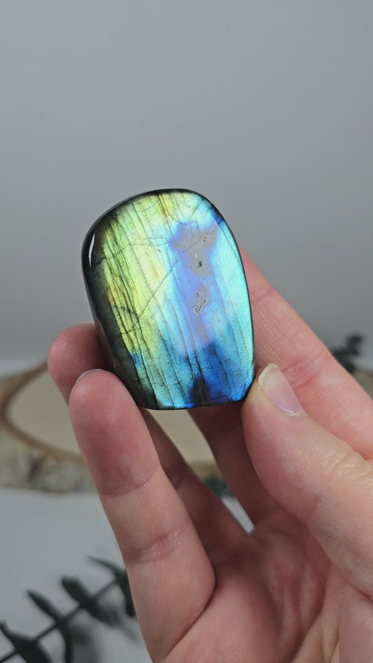 High Quality Labradorit Freiform 🌈 FV9