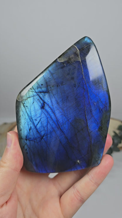 High Quality Labradorit Freiform 🌈 BV81