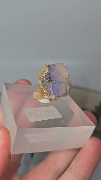 Welo Opal Roh 🌈 KT46