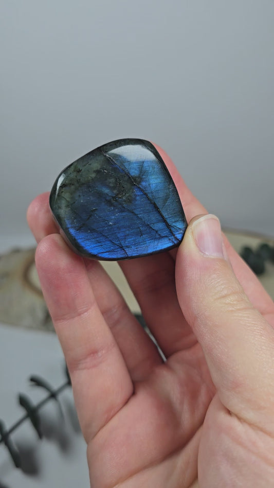 High Quality Labradorit Freiform 🌈 FD8