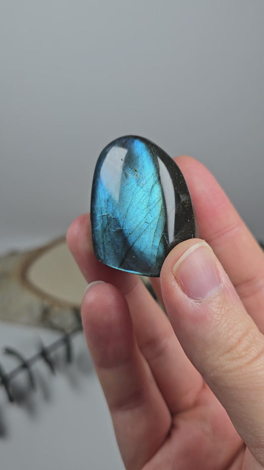 High Quality Labradorit Freiform 🌈 BF6