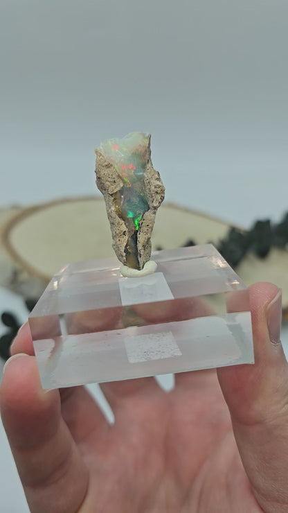 Welo Opal Roh 🌈 OP32