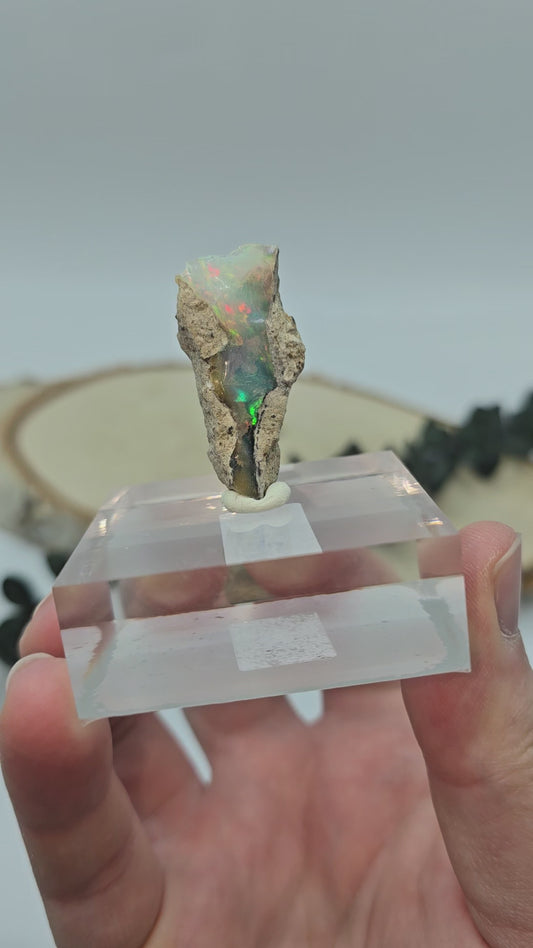 Welo Opal Roh 🌈 OP32