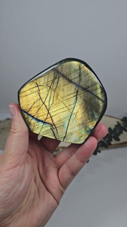 High Quality Labradorit Freiform 🌈 Q46