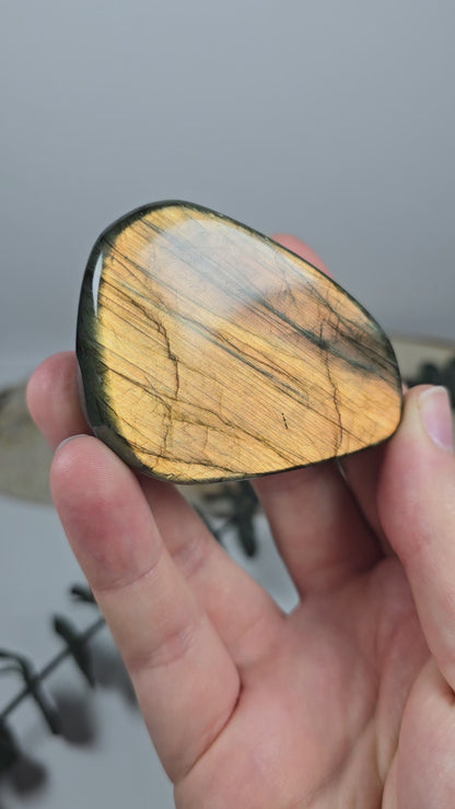 High Quality Labradorit Freiform 🌈 AF17
