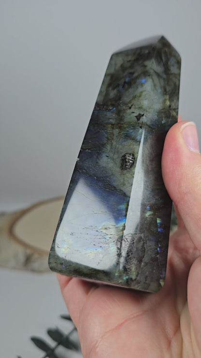Labradorit Turm 🌈 LT45