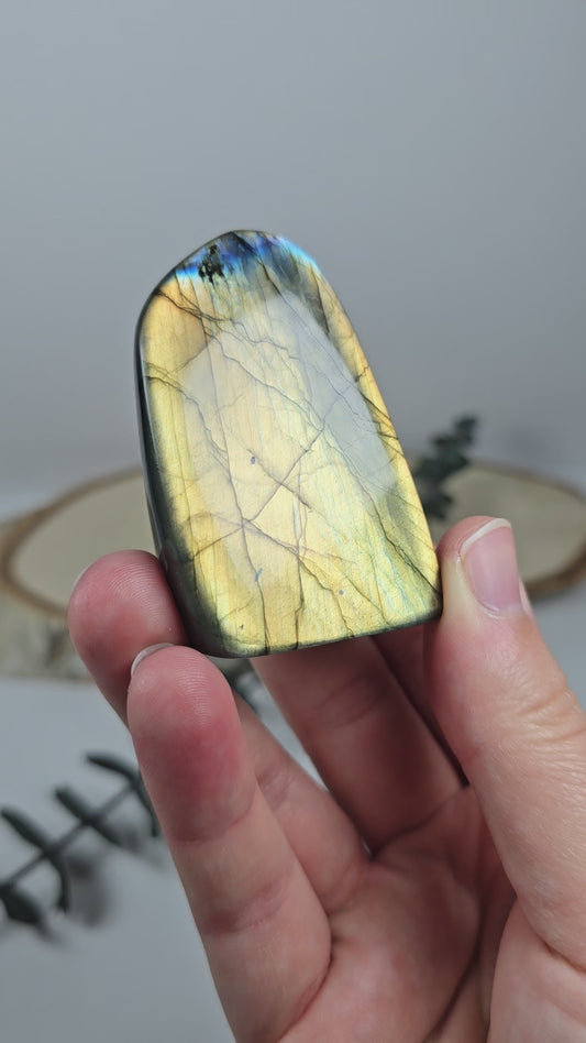 High Quality Labradorit Freiform 🌈 CQ15